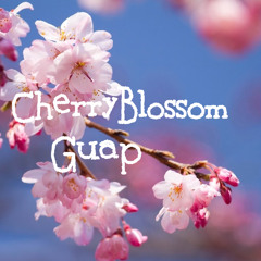 Cherryblossom Guap