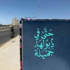 إيناس سالم