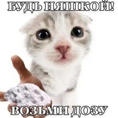 rav_viol