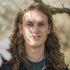 Jelte