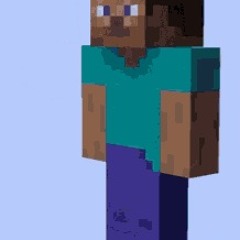 Steve