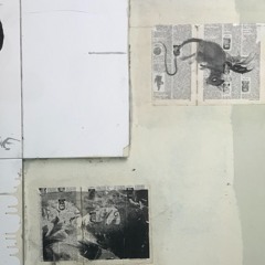Fq