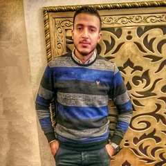 mohamed hamdy