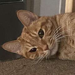 ?
