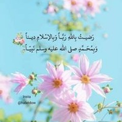 ابوشاكر الحضري