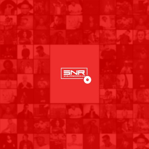 Sneja Recordings’s avatar
