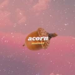 Acorn Malone