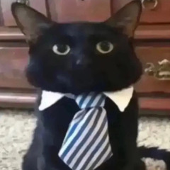 average man