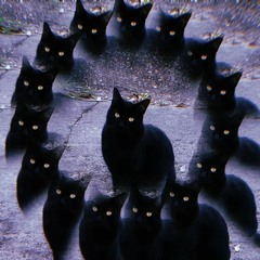 Buster and the AK-47s