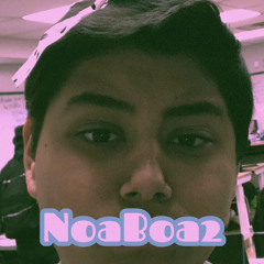Noaboa2