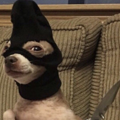 AK- the destroyer😈