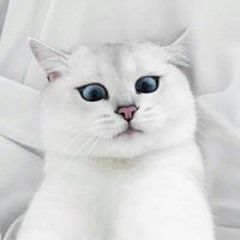 New private playlist