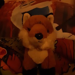 Aneta💜💛 liška🦊🦊