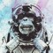 Space Chimp