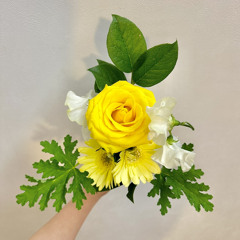 みさき