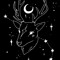 moonbunny