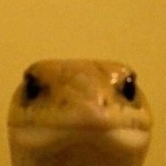Brandon