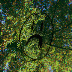 ʰʸᵖᵉᵍᵒᵗʰ