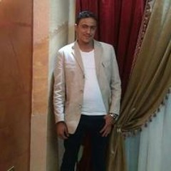 مصطفى حبشى