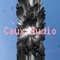 Audio Caux 22