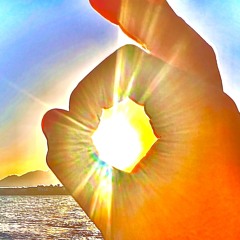 yasmine mahmoud sami