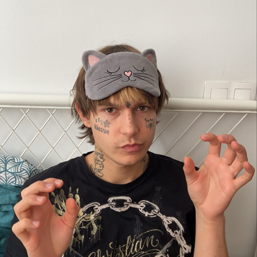 scary kitties’s avatar