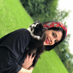 New private playlist