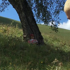 ჩინურიიასამანი