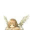 pray (luhpray)