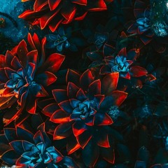 SUNburnSKY