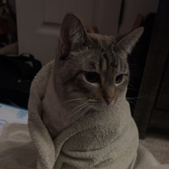 1825(feat. auxymoron)(prod.IanJames)