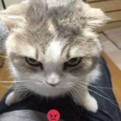 ‎