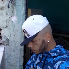 Vladimir Ppg Rodrigues