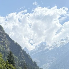 Alimsvq