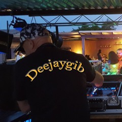 Deejaygib