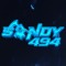 SANDY 494