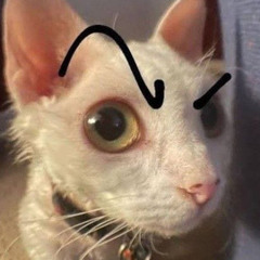 nnnnnnnnnnnnnnnnnnnnnnnn