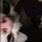 Blake
