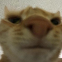 Spcmn
