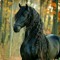 The black mare