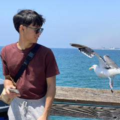 Darren Vu