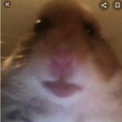 user-667403793