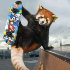 rod wave's biggest hater