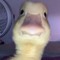 Optic_ specter
