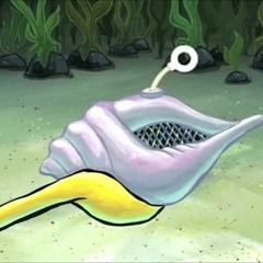 Conch