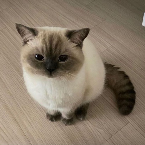 smokedope2016 first show ever in NYC