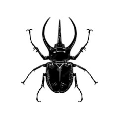 koinoyokan