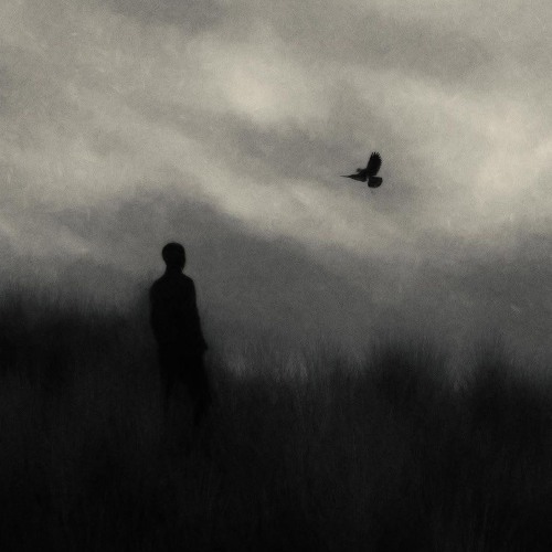 نصرت البدر - غريبه - مسرع