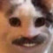daneasy