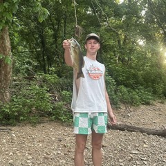 Kaiden Hollis
